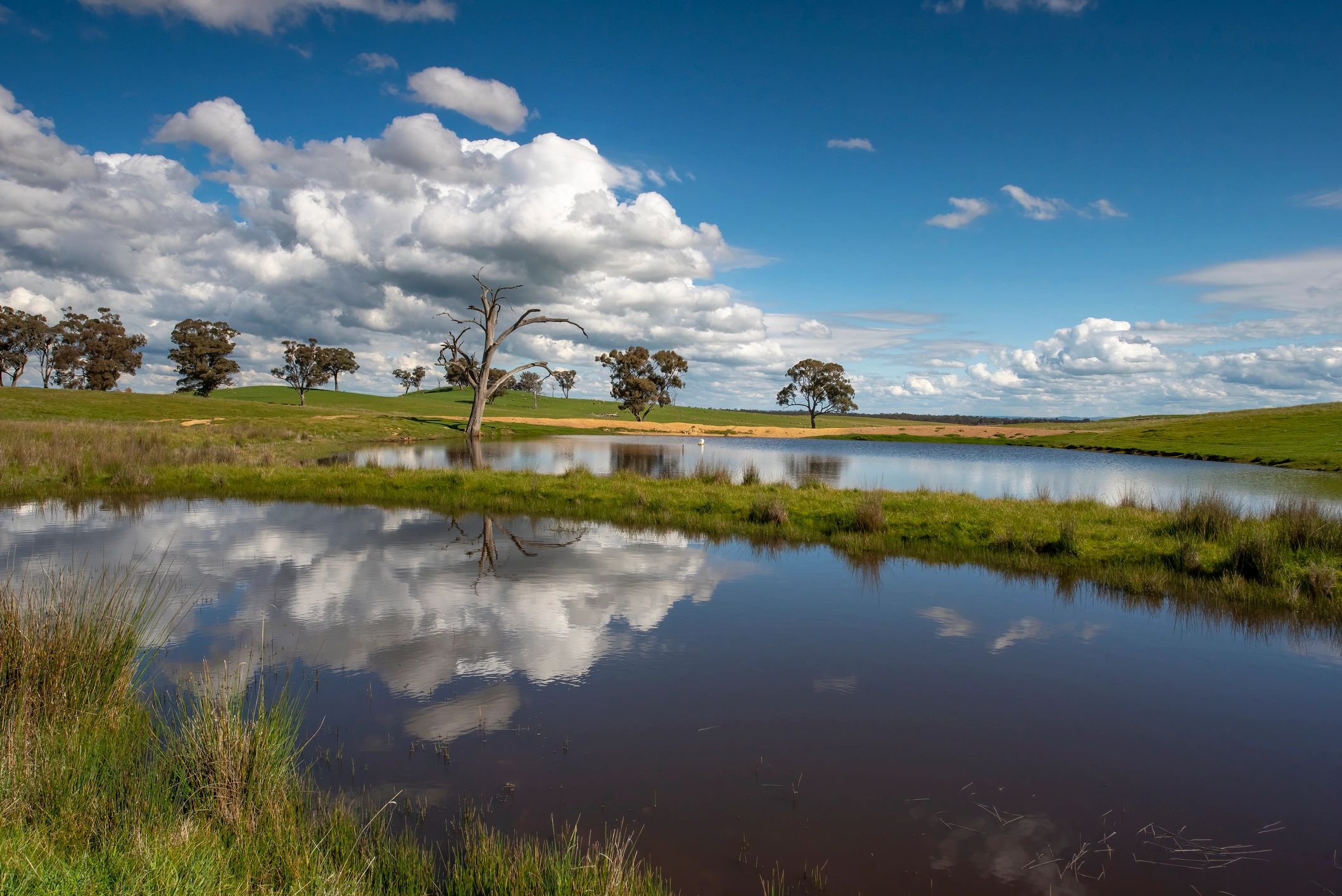 Farm dam and open farmland in regional Australia