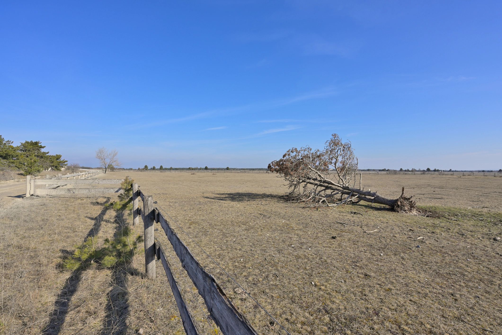 Open rural property landscape representing verification and follow up after wildlife control